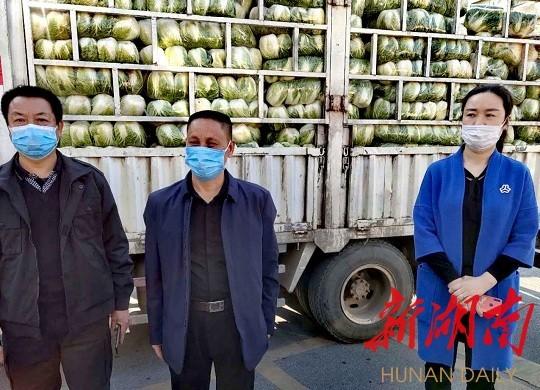 耒阳战疫日常，温暖行动与最新疫情关注
