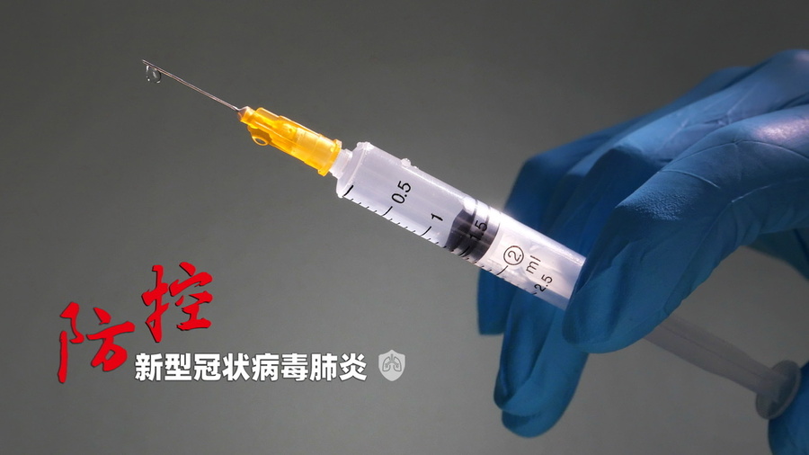 上海疫苗最新动态，变革之力铸就自信与成就之源